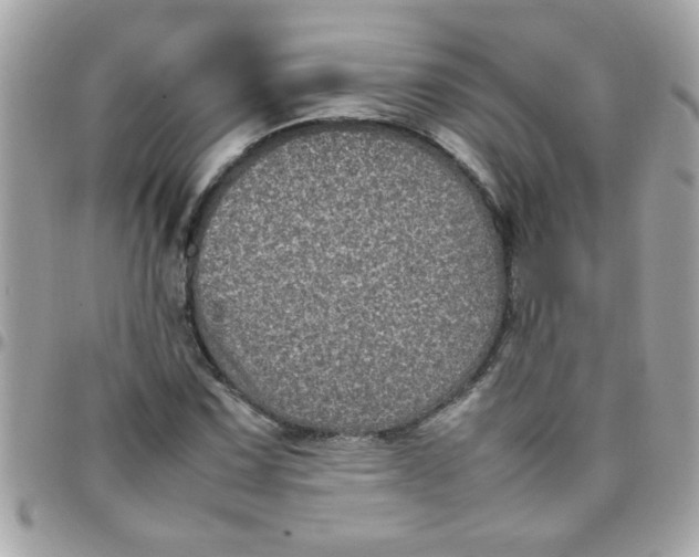 X0000097781067200803211754