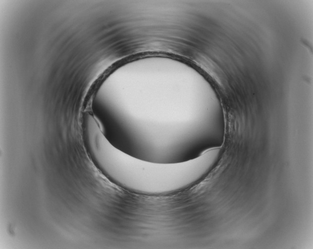 X0000097781068200803211754