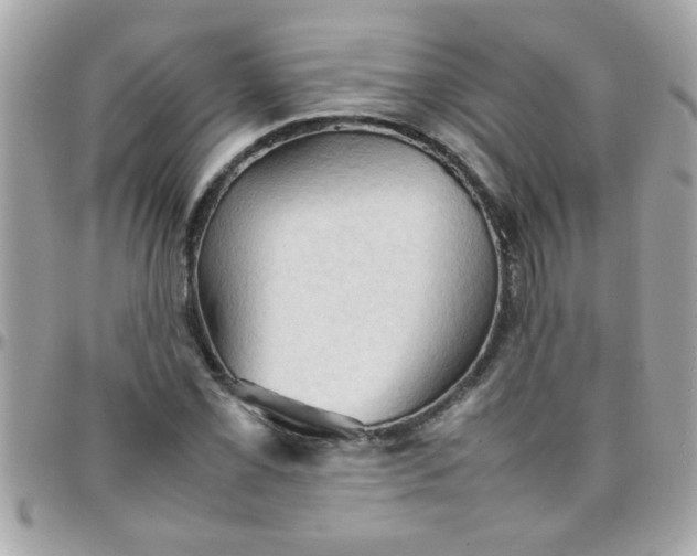 X0000097781069200803211753