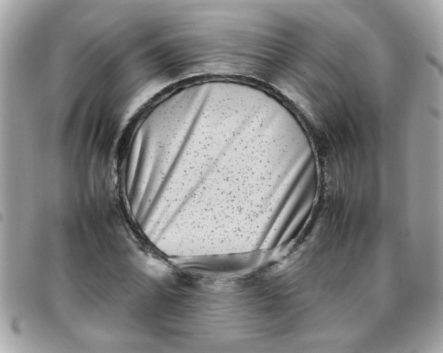 X0000097781070200803211753