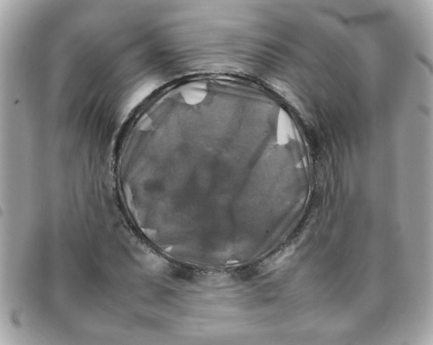 X0000097781071200803211753