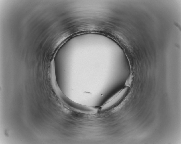 X0000097781073200803211753