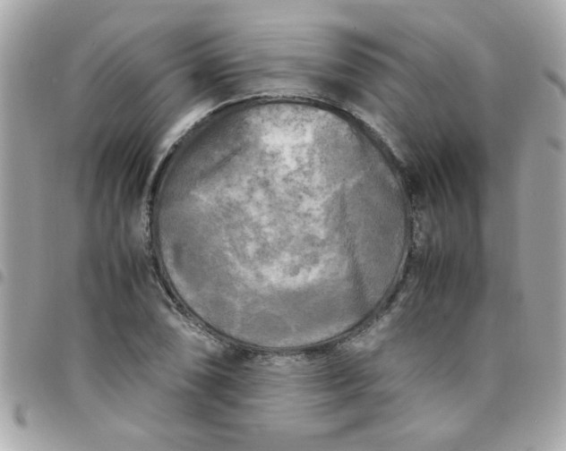 X0000097781074200803211753