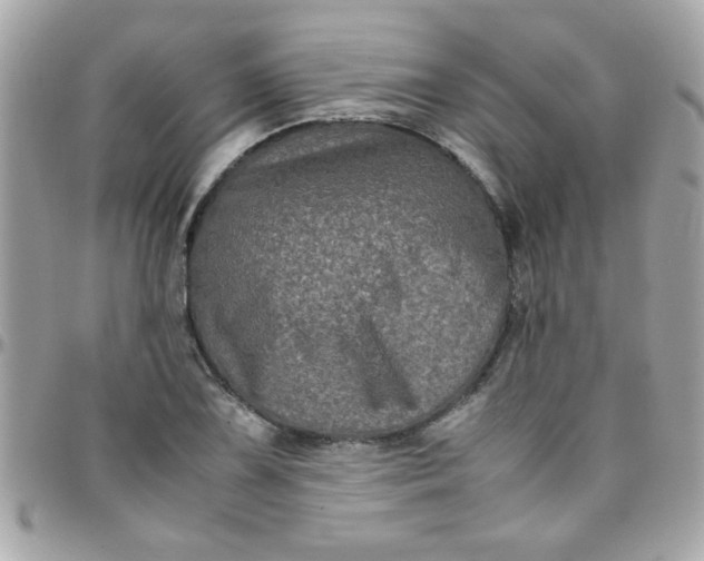 X0000097781075200803211753