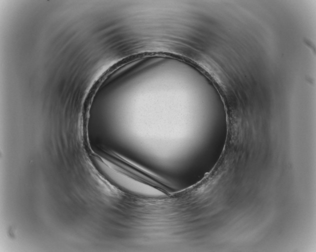 X0000097781076200803211753