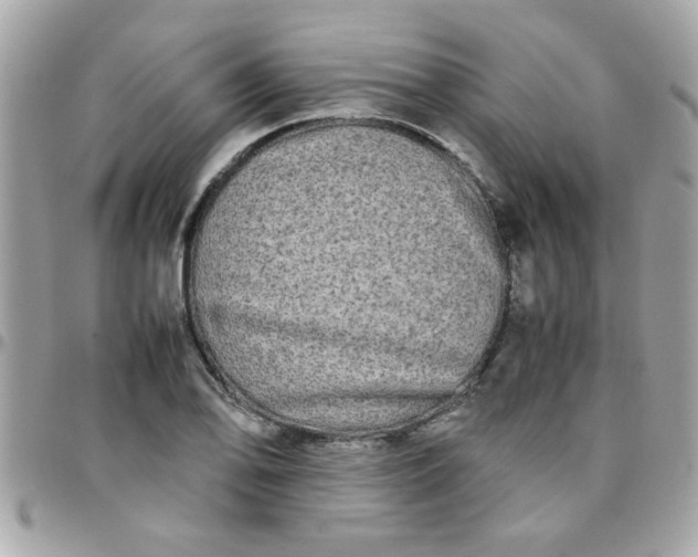 X0000097781078200803211753