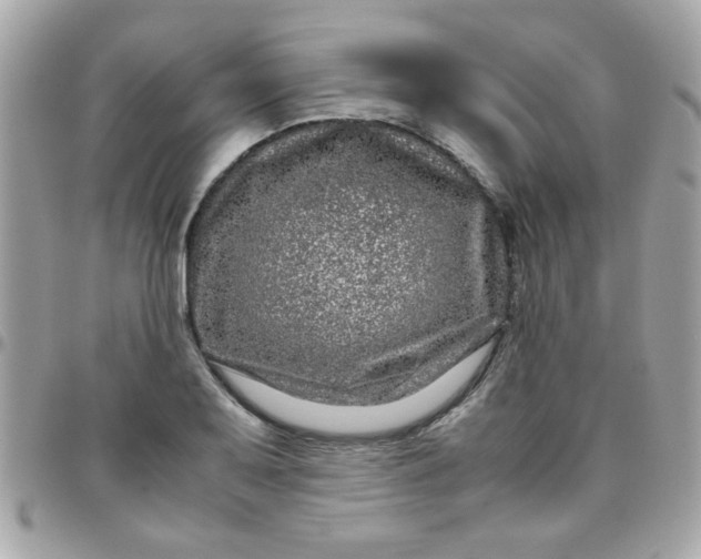 X0000097781079200803211753