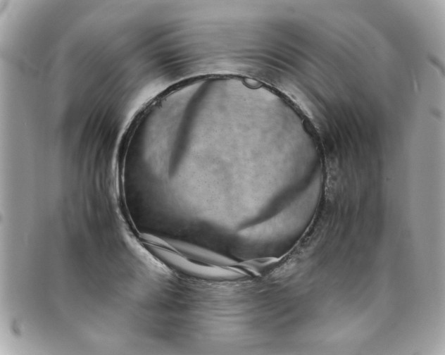 X0000097781080200803211753