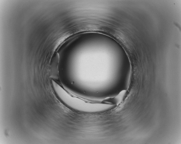 X0000097781081200803211753