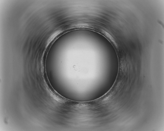 X0000097781082200803211753