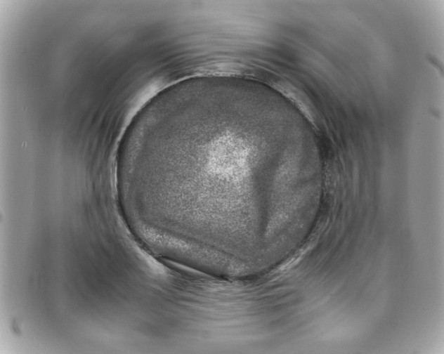 X0000097781083200803211753