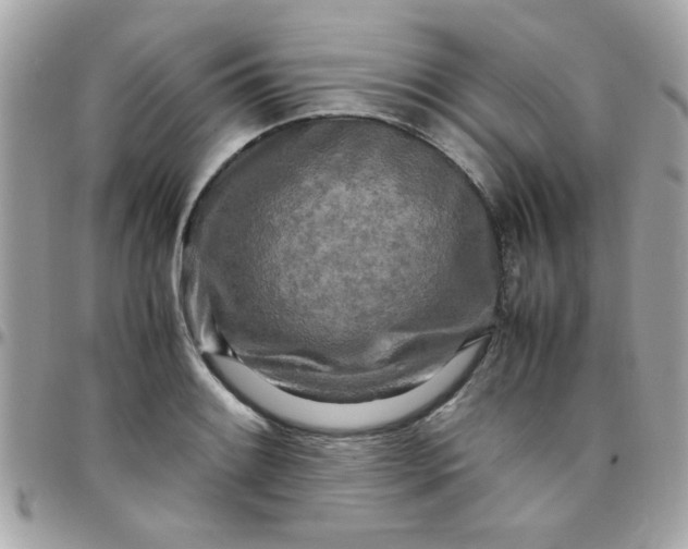 X0000097781084200803211753