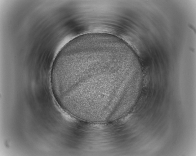 X0000097781086200803211753