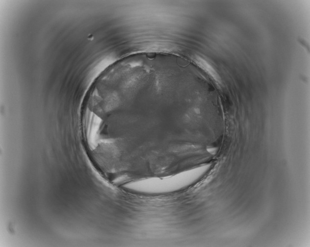 X0000097781087200803211753