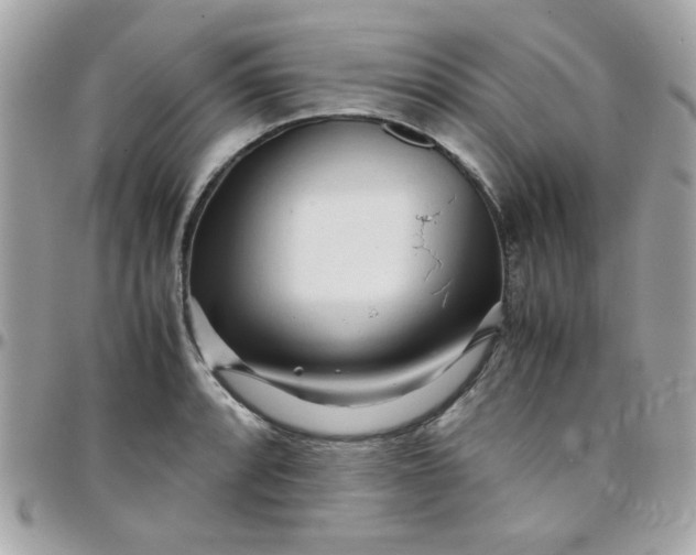 X0000097781088200803211753