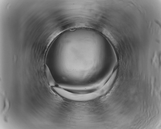 X0000097781089200803211753