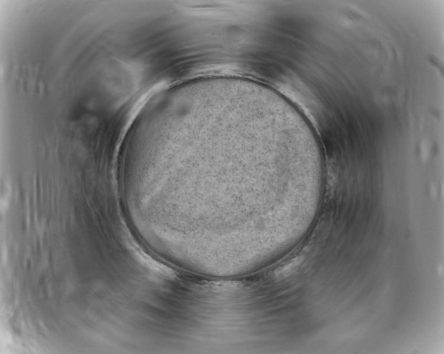 X0000097781090200803211753