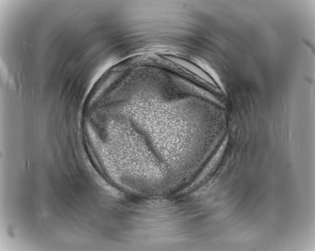 X0000097781091200803211753