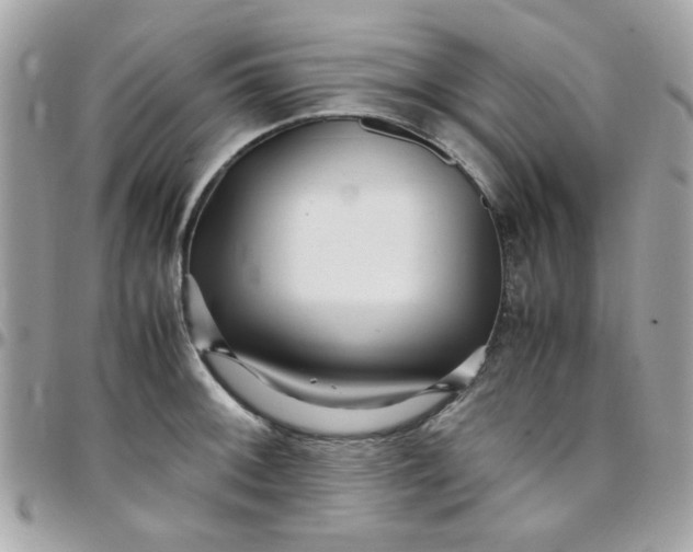 X0000097781092200803211753