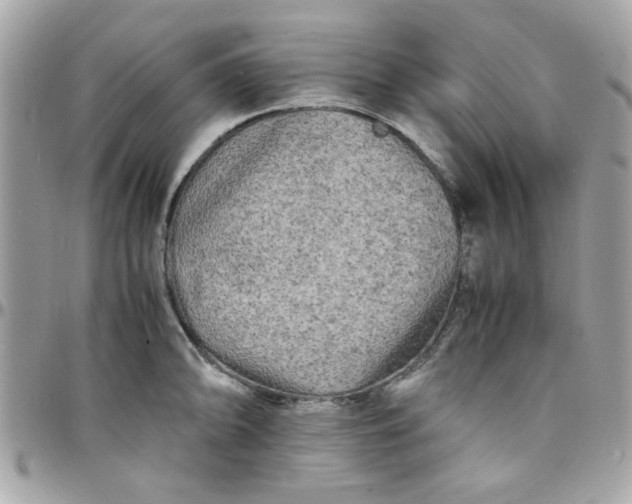 X0000097781094200803211753