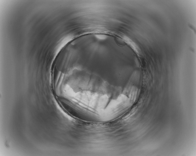 X0000097781095200803211753