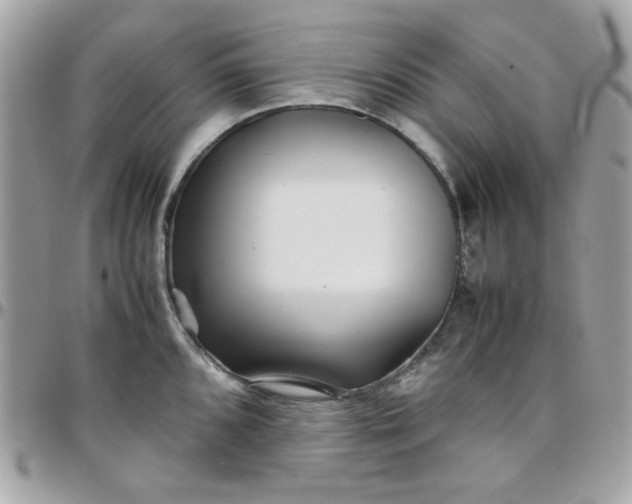 X0000097781096200803211753