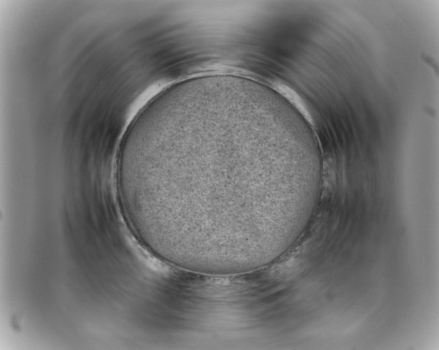 X0000097781098200803211753