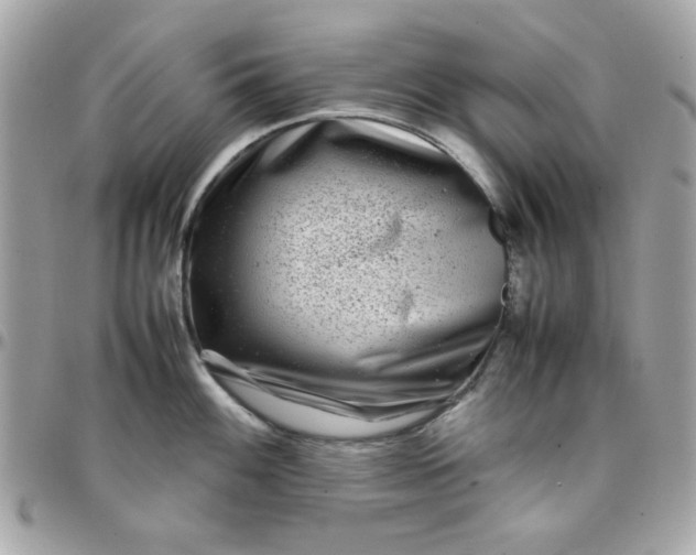 X0000097781100200803211753