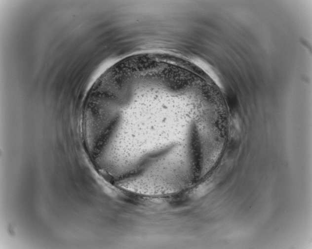 X0000097781101200803211753