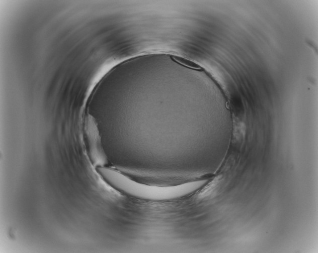 X0000097781102200803211753