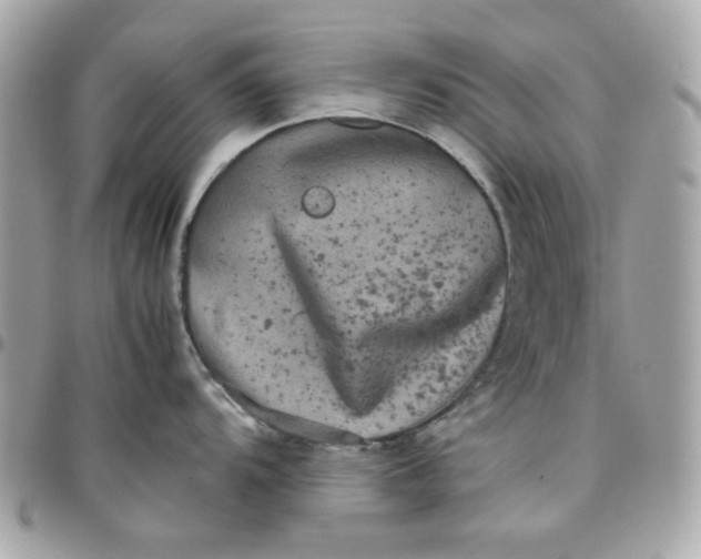 X0000097781104200803211753