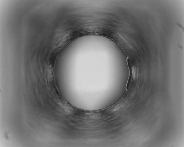 X0000097781107200803211752