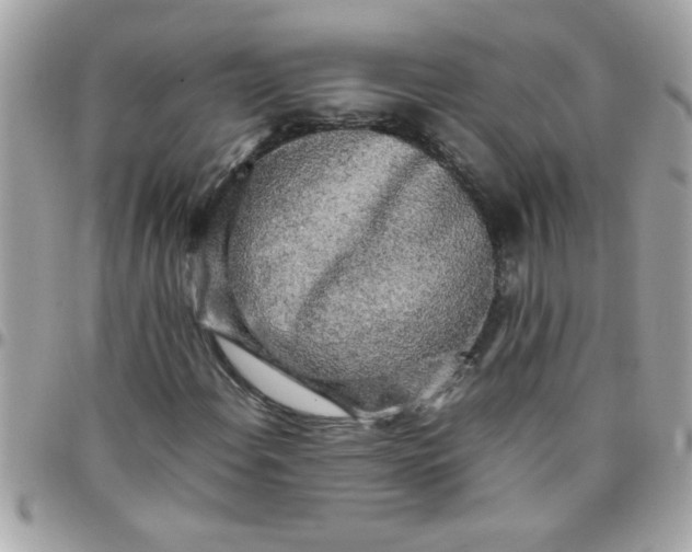 X0000097781108200803211752