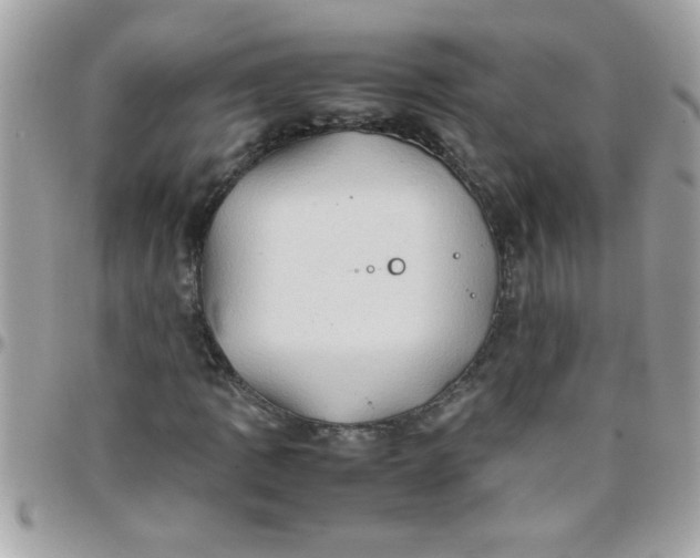 X0000097781109200803211752