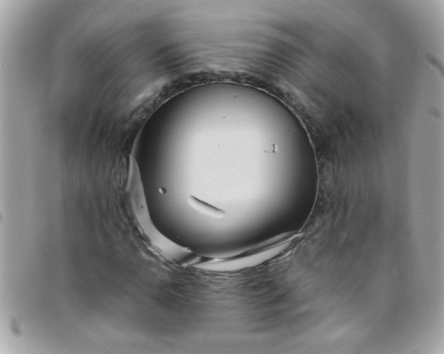 X0000097781110200803211752