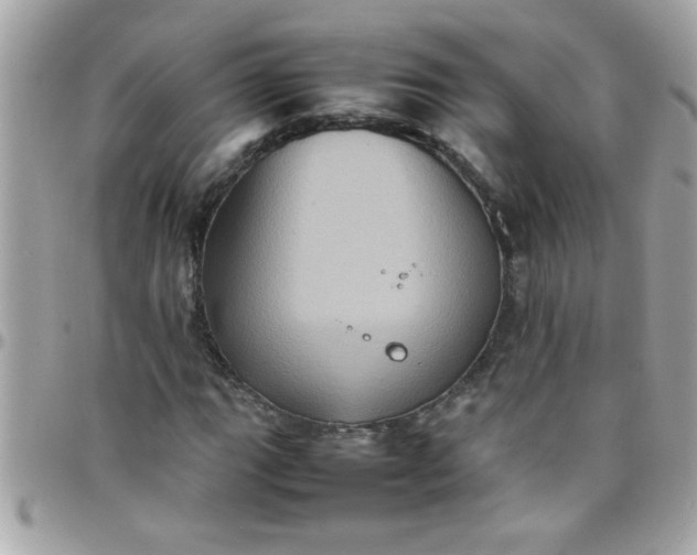 X0000097781111200803211752