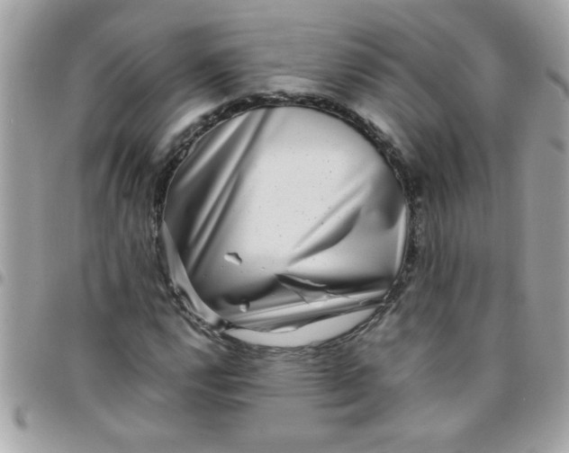 X0000097781112200803211752