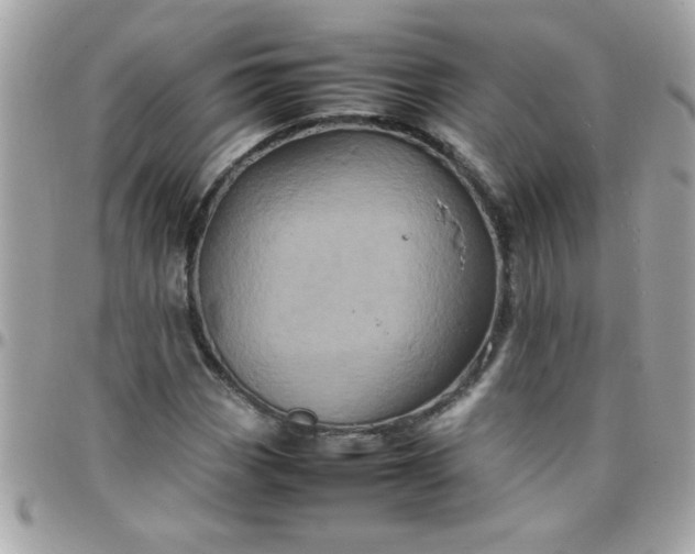 X0000097781113200803211752