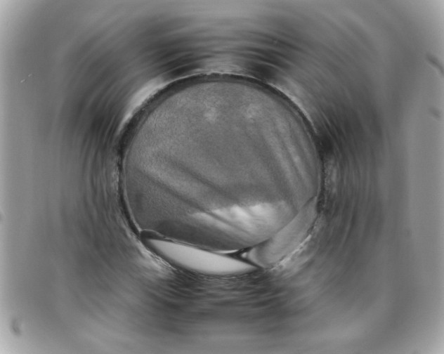 X0000097781115200803211752