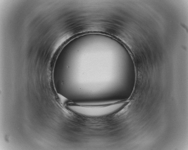 X0000097781119200803211753