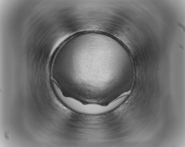 X0000097781120200803211753