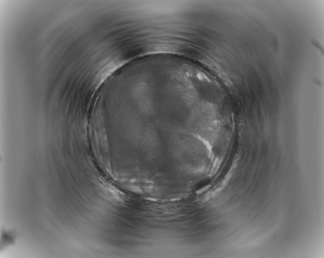 X0000097781121200803211753