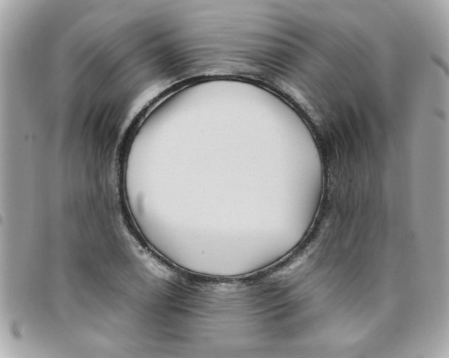 X0000097781122200803211753