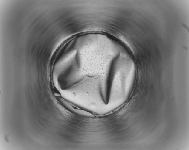 X0000097781124200803211753