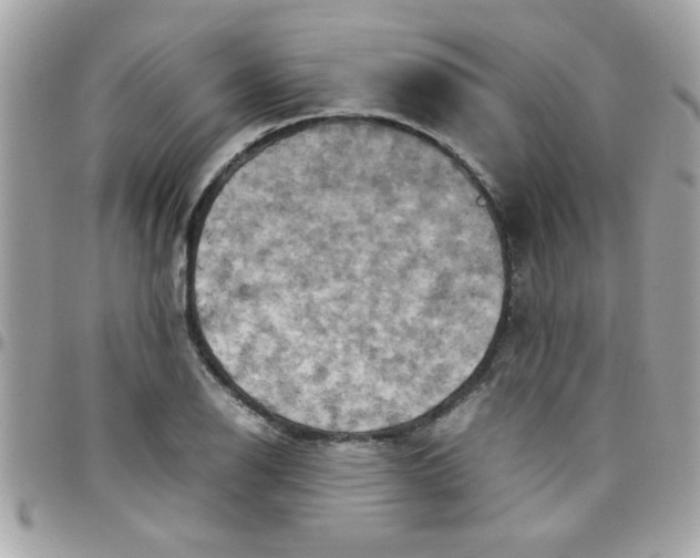 X0000097781126200803211753