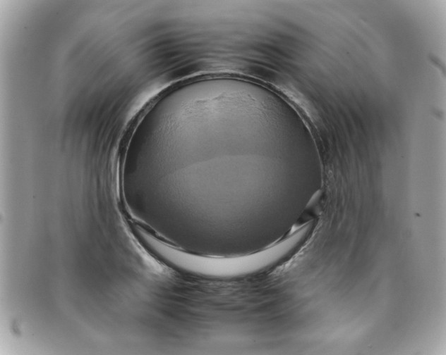 X0000097781127200803211753