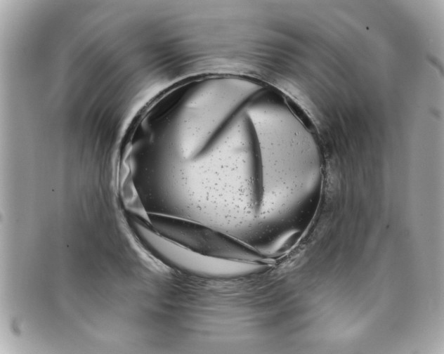 X0000097781128200803211753