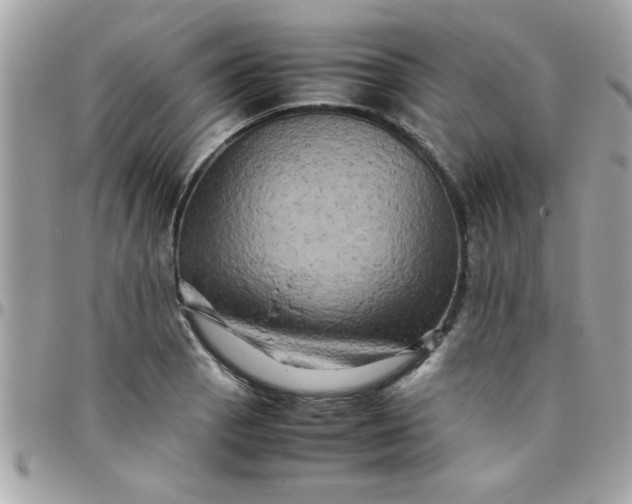 X0000097781129200803211753