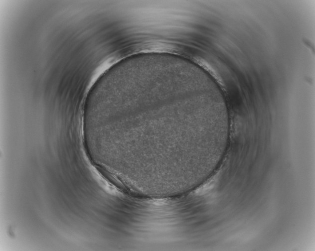 X0000097781130200803211753