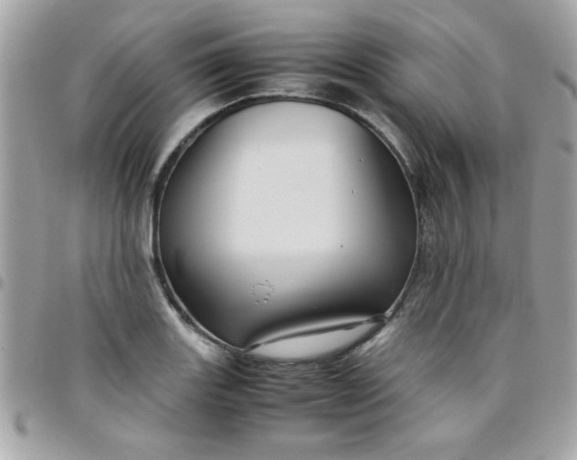 X0000097781131200803211753